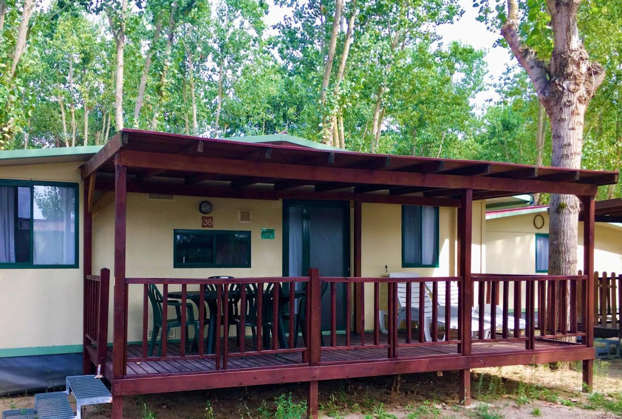 Camping Village Punta Navaccia Tuoro sul Trasimeno Bagian luar foto