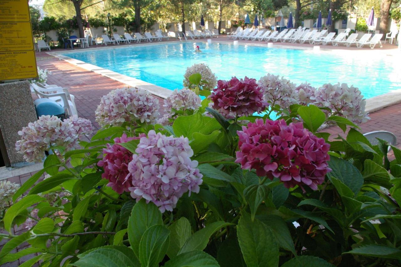Camping Village Punta Navaccia Tuoro sul Trasimeno Bagian luar foto